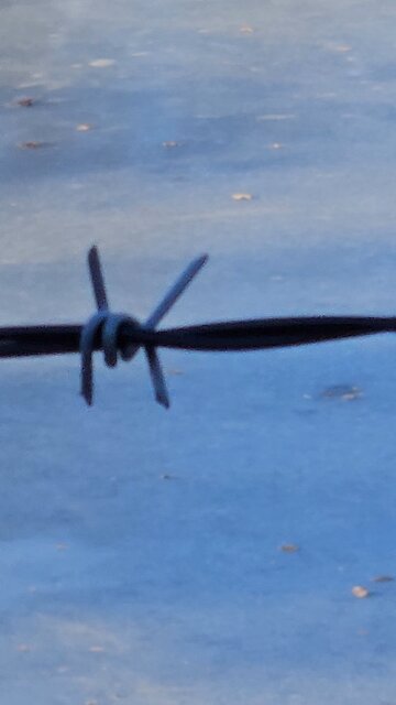 Frozen Swimming Pool in Naperville