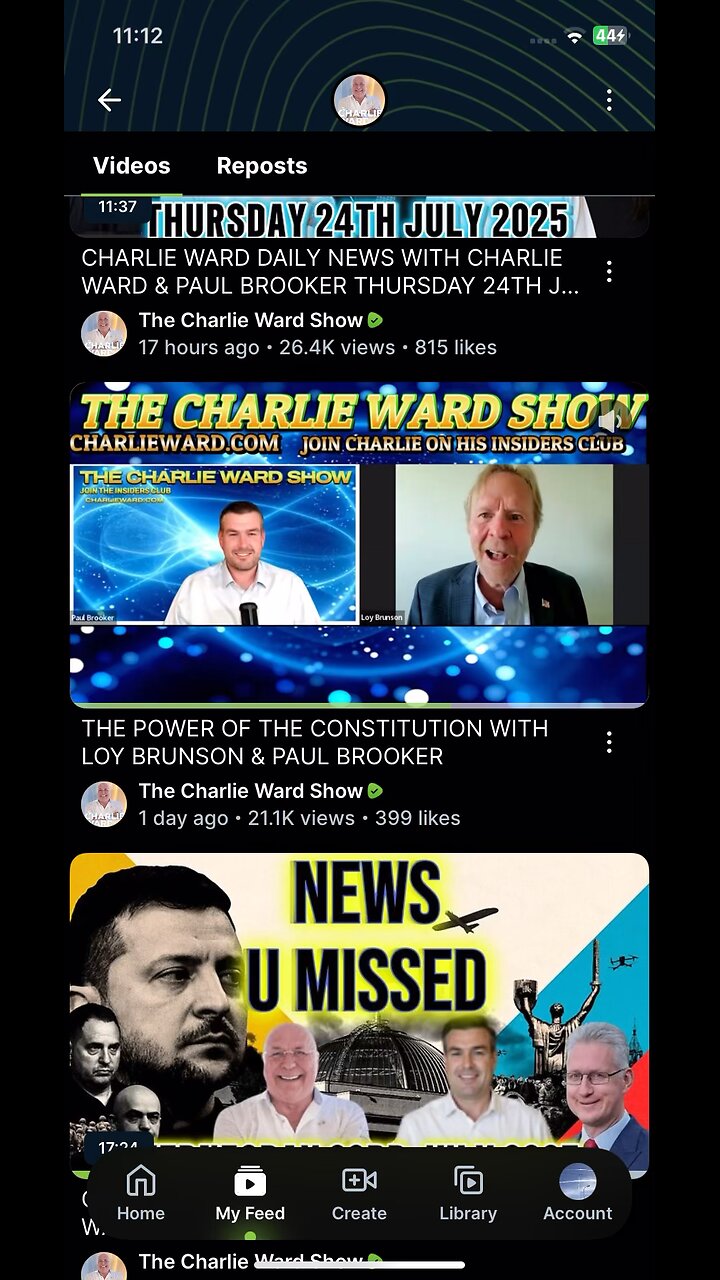 Loy Brunson : constitution part 2