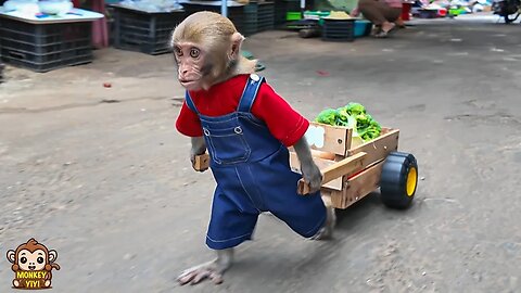 Smart YiYi go to the market to buy vegetables to cook for friends and then