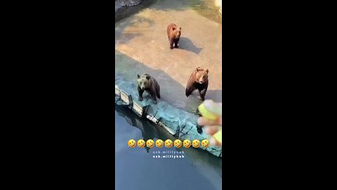 🤣