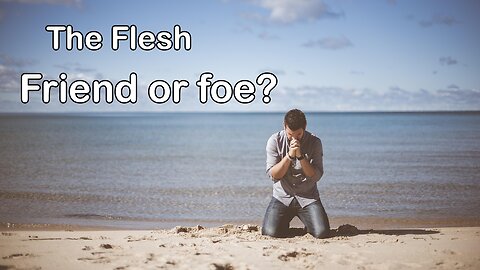 The Flesh - Friend or Foe --- Dennis Miller