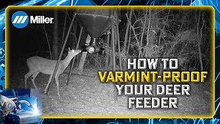 How to Varmint-Proof Your Deer Feeder