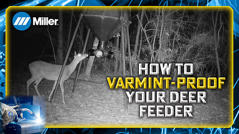 How to Varmint-Proof Your Deer Feeder