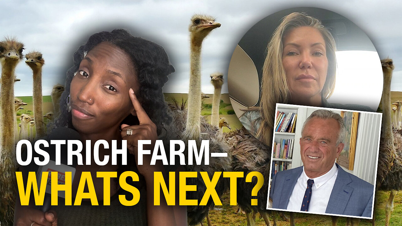 Cull or Rescue? B.C. Ostrich Farm discusses what’s next if high court rules against them