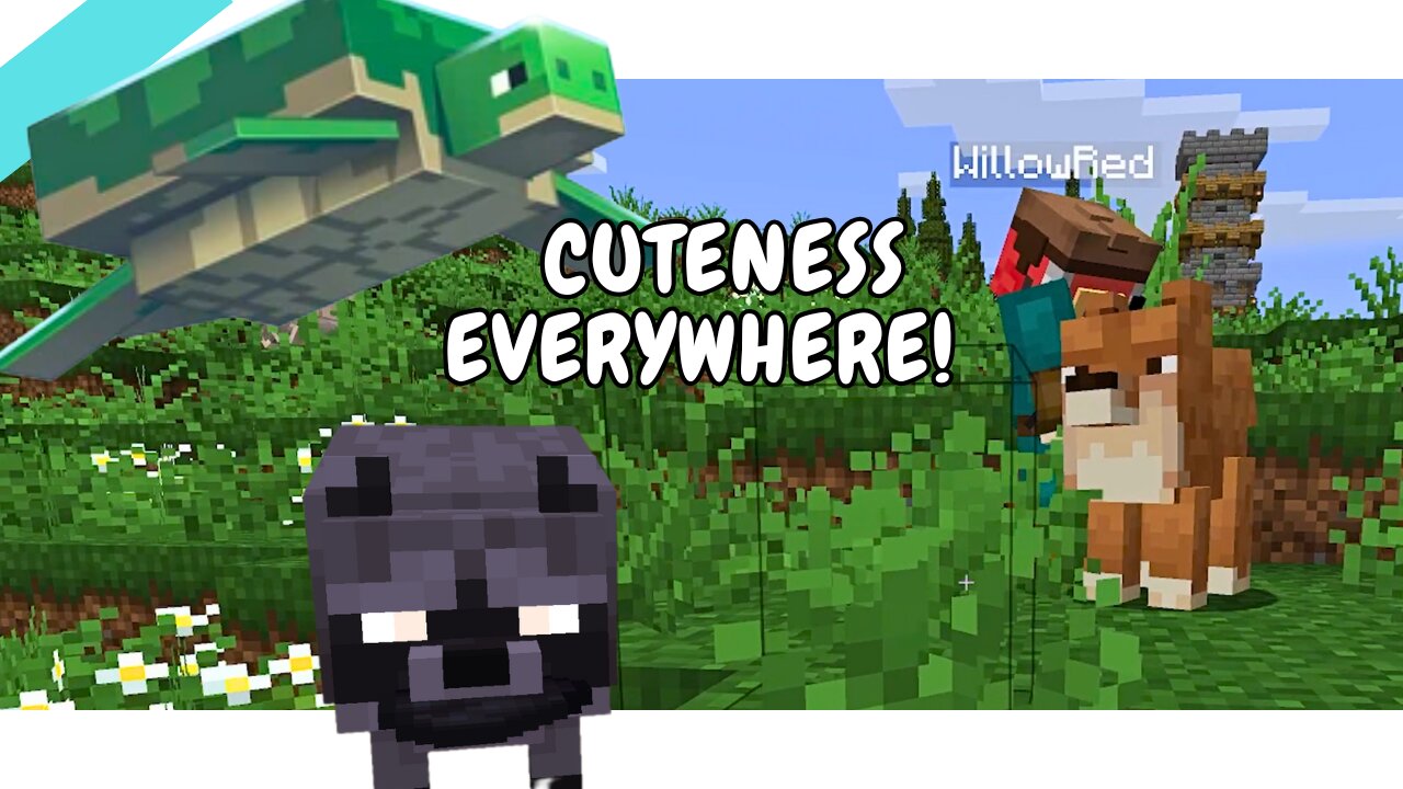Racoon Strikes Back! Cute Aggression Ensues!