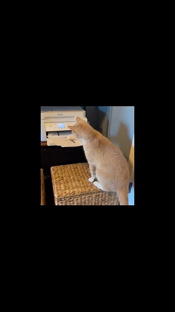 Bro you got every right to kindly remove yourself from there 🤧🥴😎🤣😄😁