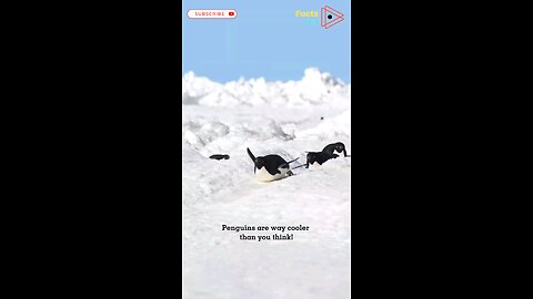 Mind-Blowing Penguin Facts You Won’t Believe! 🐧❄️ #nature #penguin #shorts
