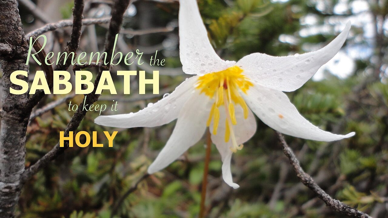 Remember the Sabbath