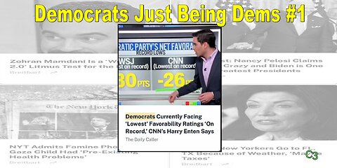 Democrats Just Being Democrats #1