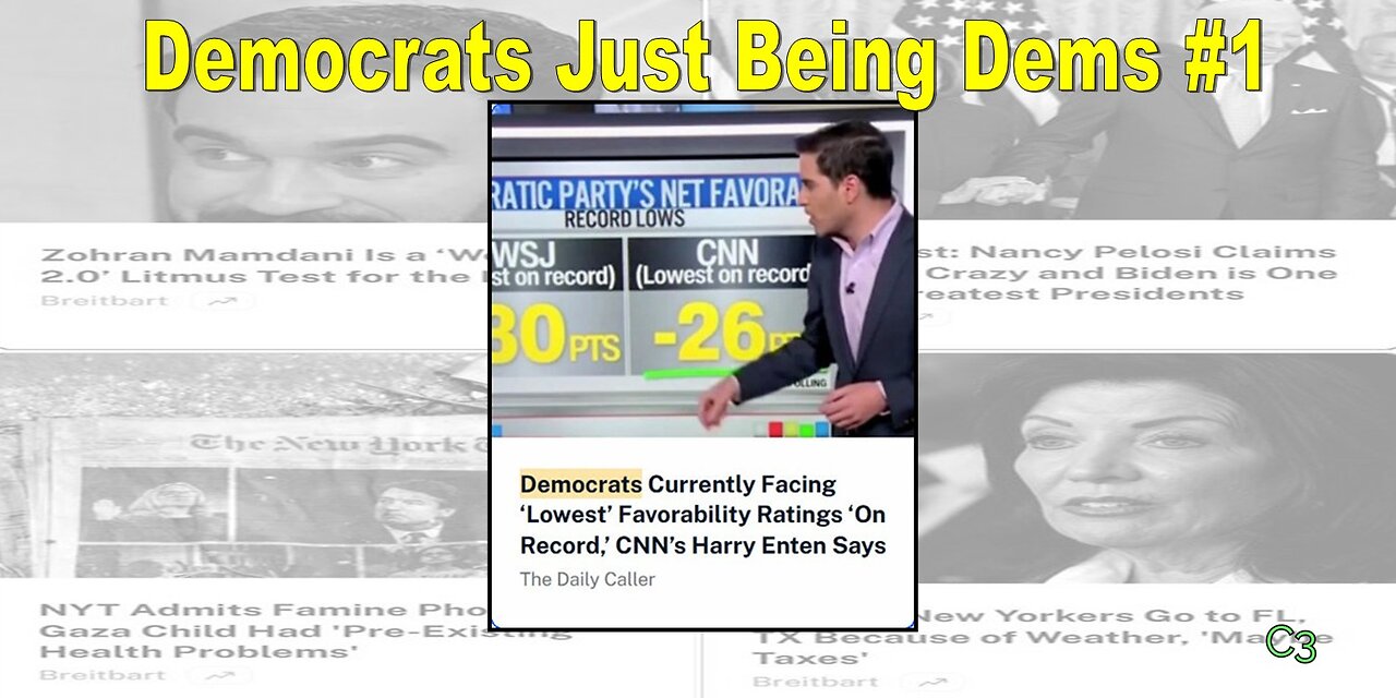 Democrats Just Being Democrats #1