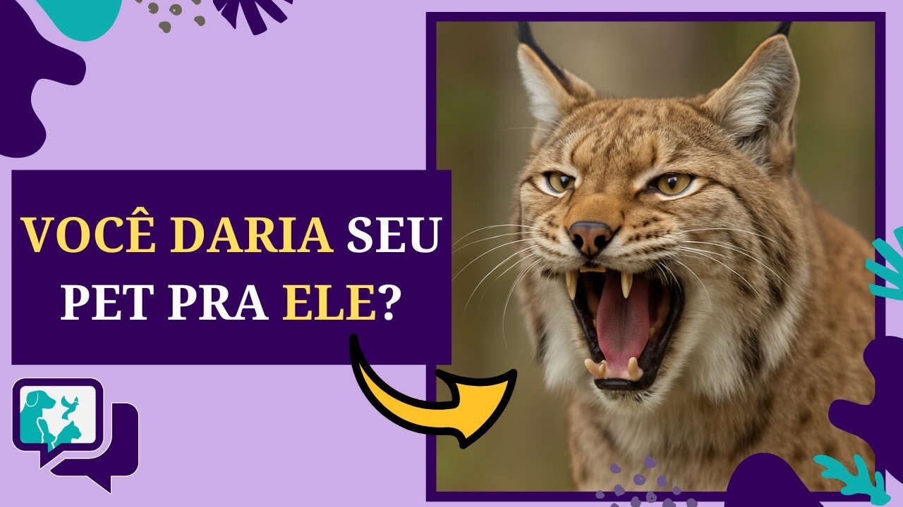 Zoológico Pede Pets para Alimentar Seus Carnívoros