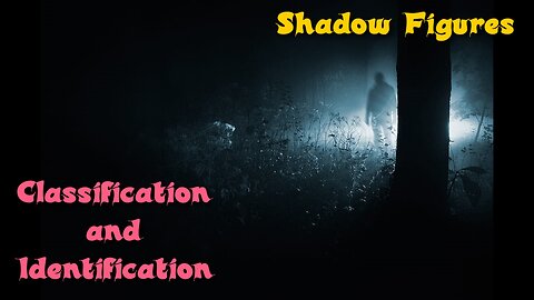 Shadow Figure Classification