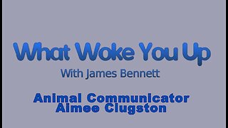 A Conversation with Aimee Clugston: Telepath Animal Communicator