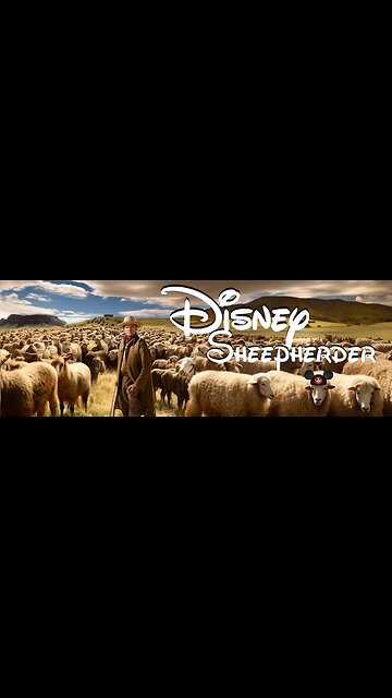 My first Sheep Video on Rumble