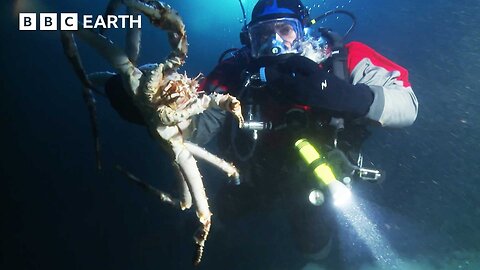 Marine Biologist Takes a RISKY Plunge into a Frozen Lake | BBC Earth Explore