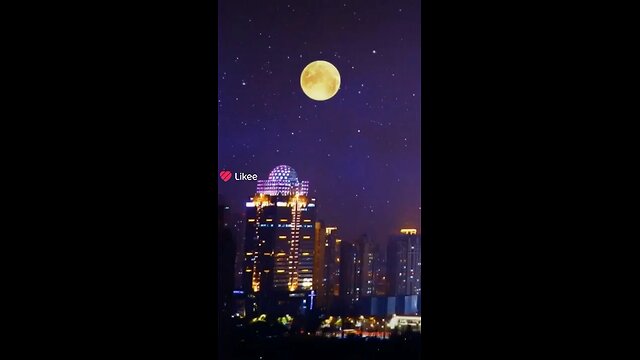 put your silliest picture