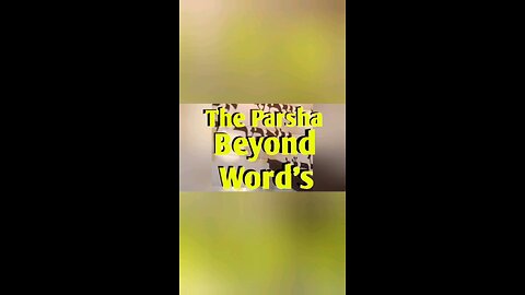 The Parsha Beyond Words EP.1 Devarim’s Human Voice: Why a “Secular” Jewish State Misses the Point