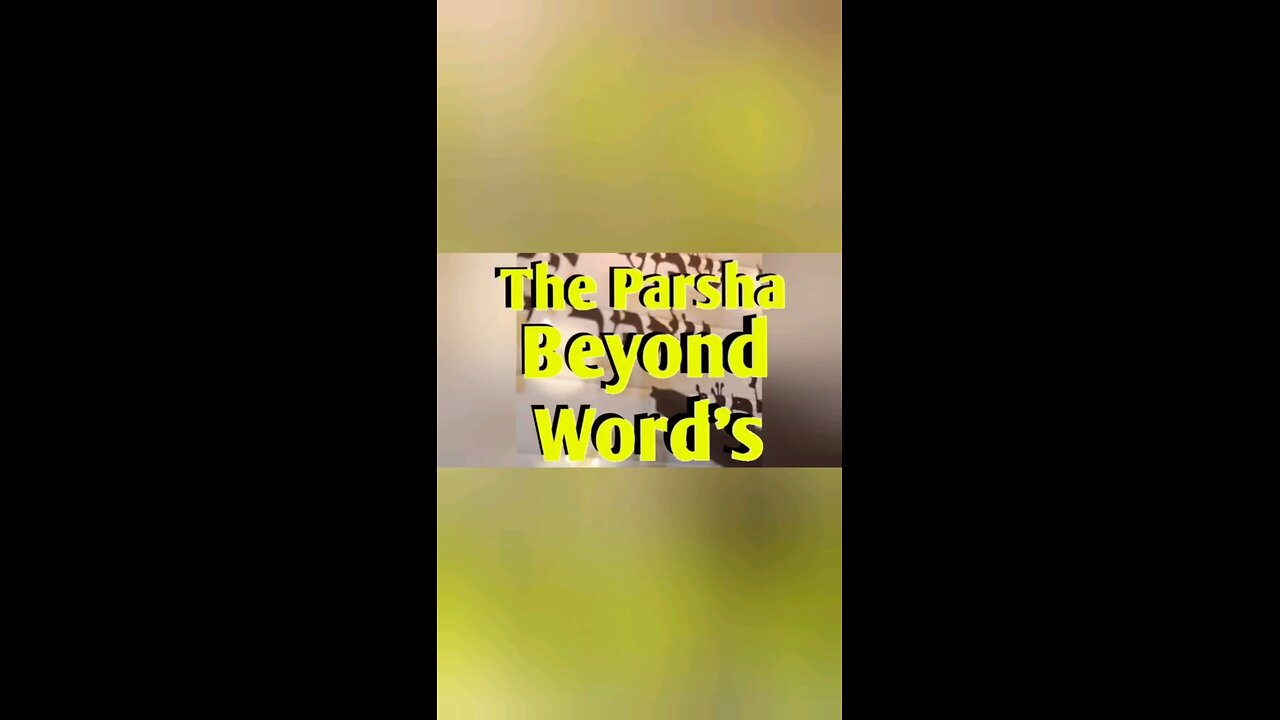 The Parsha Beyond Words EP.1 Devarim’s Human Voice: Why a “Secular” Jewish State Misses the Point