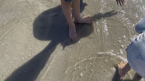 Little Bitty Clams Dig In