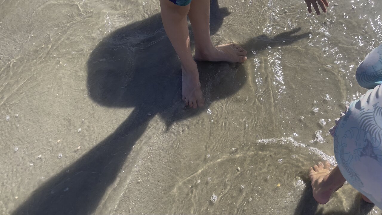 Little Bitty Clams Dig In