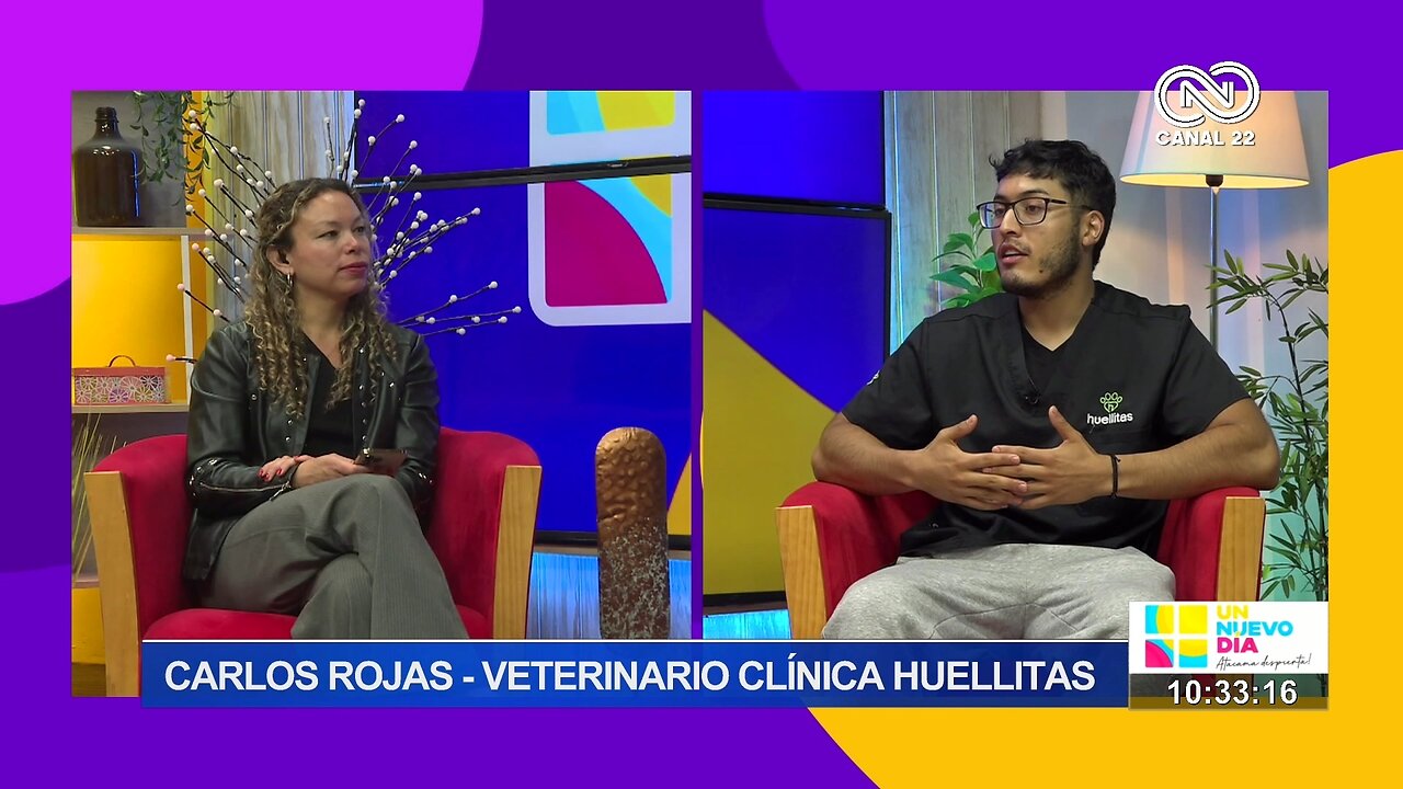 Carlos Rojas Veterinario Clínica Huellitas