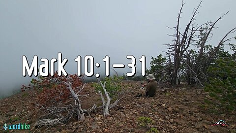 Mark 10:1-31, Bible Reading in Nature, BSB