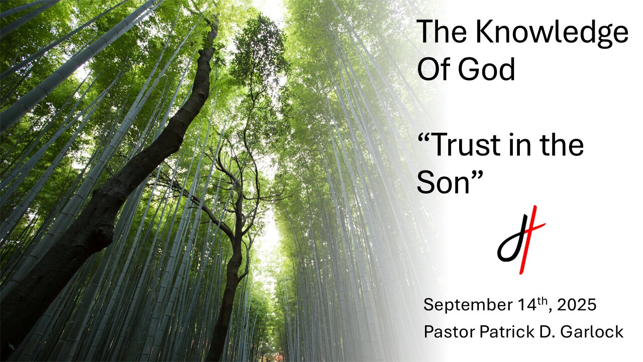 The Book of John 6:1-21 - "Trust in the Son"
