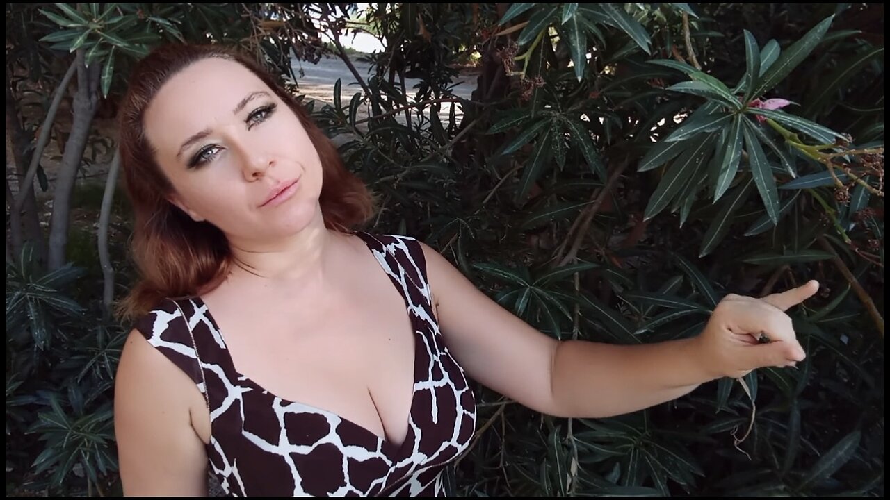 HYPNOTIC ASMR & REIKI: Perfection Does Not Exist
