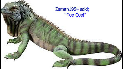 Urban Water Iguana