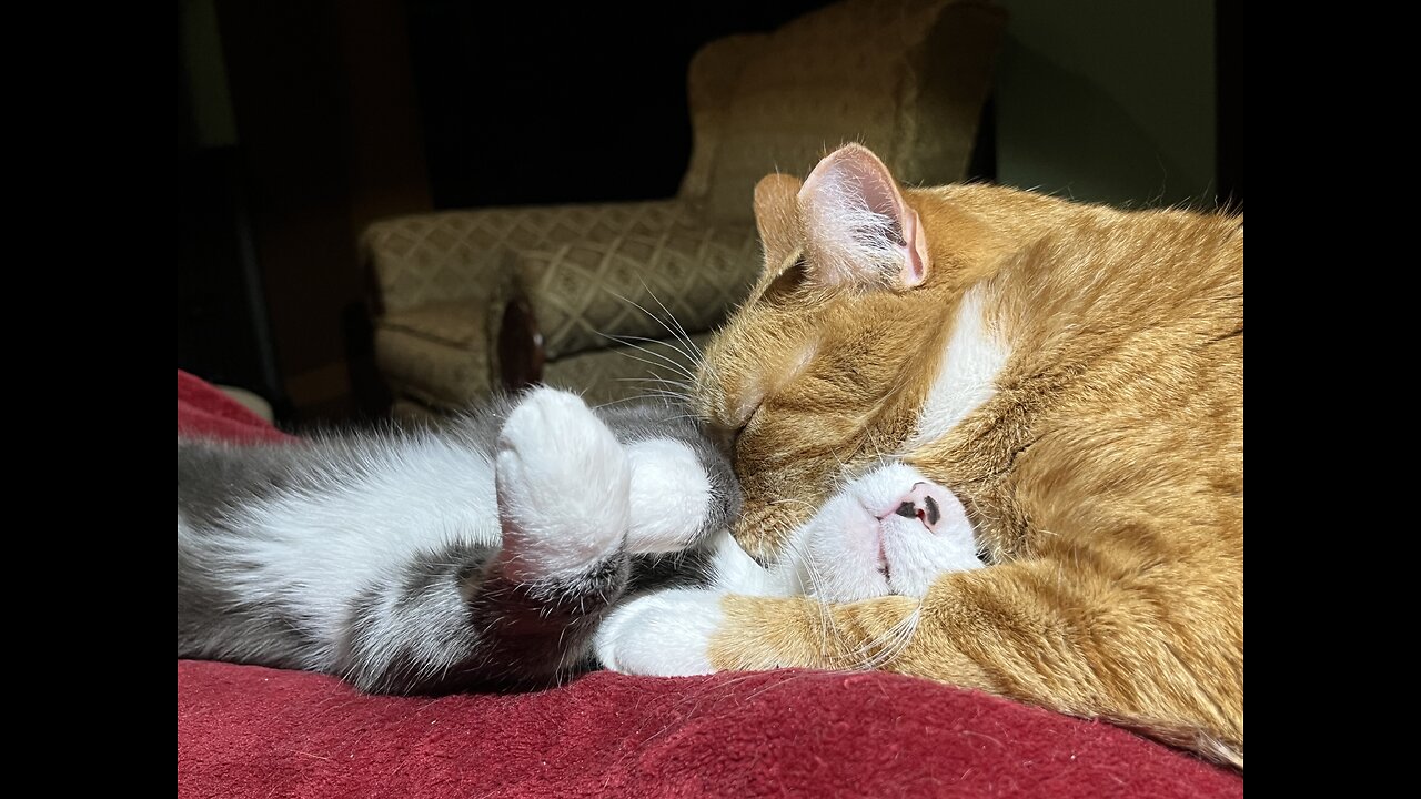 Episode 3026 CWSA 11/22/25