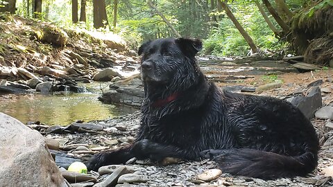 Dug at Whetstone Gulf - 2025