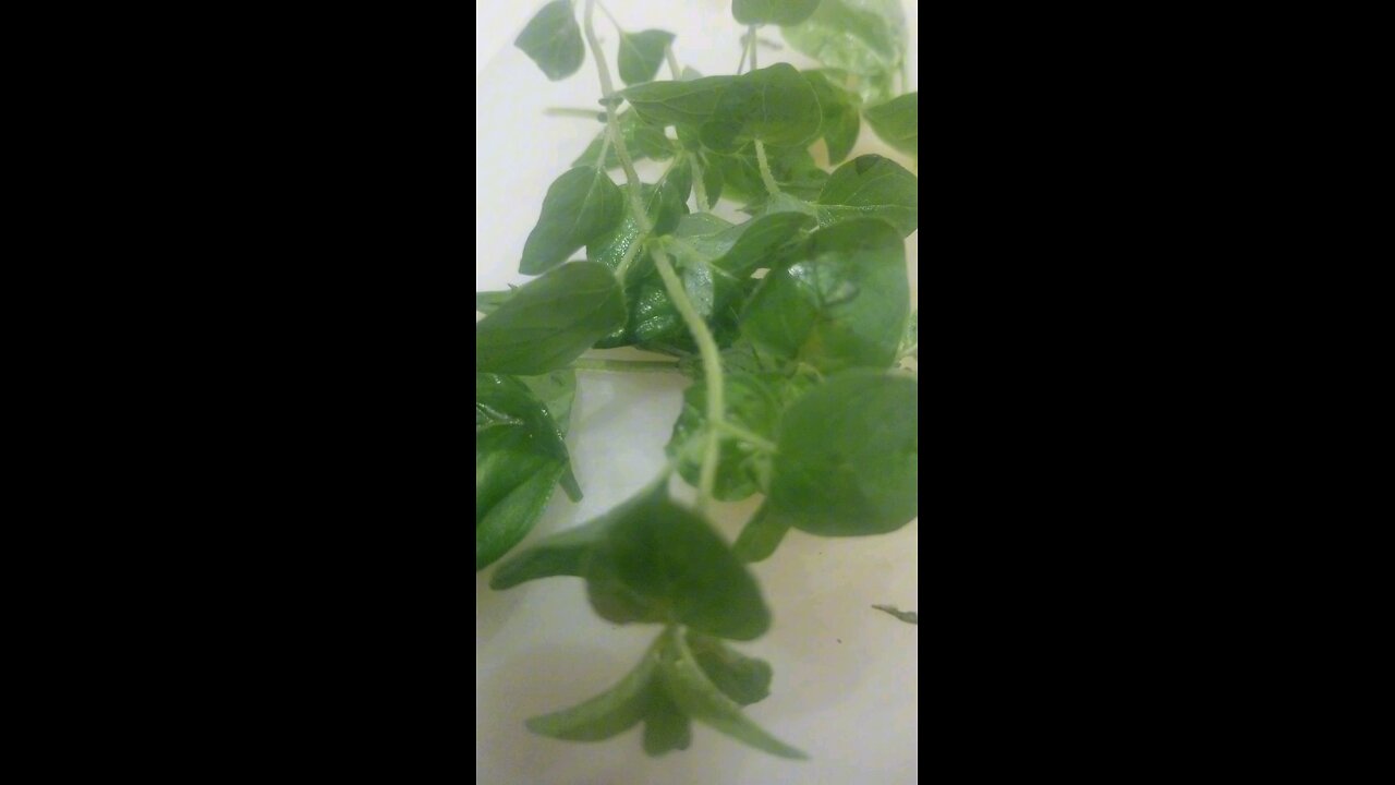 Dinner for the week...