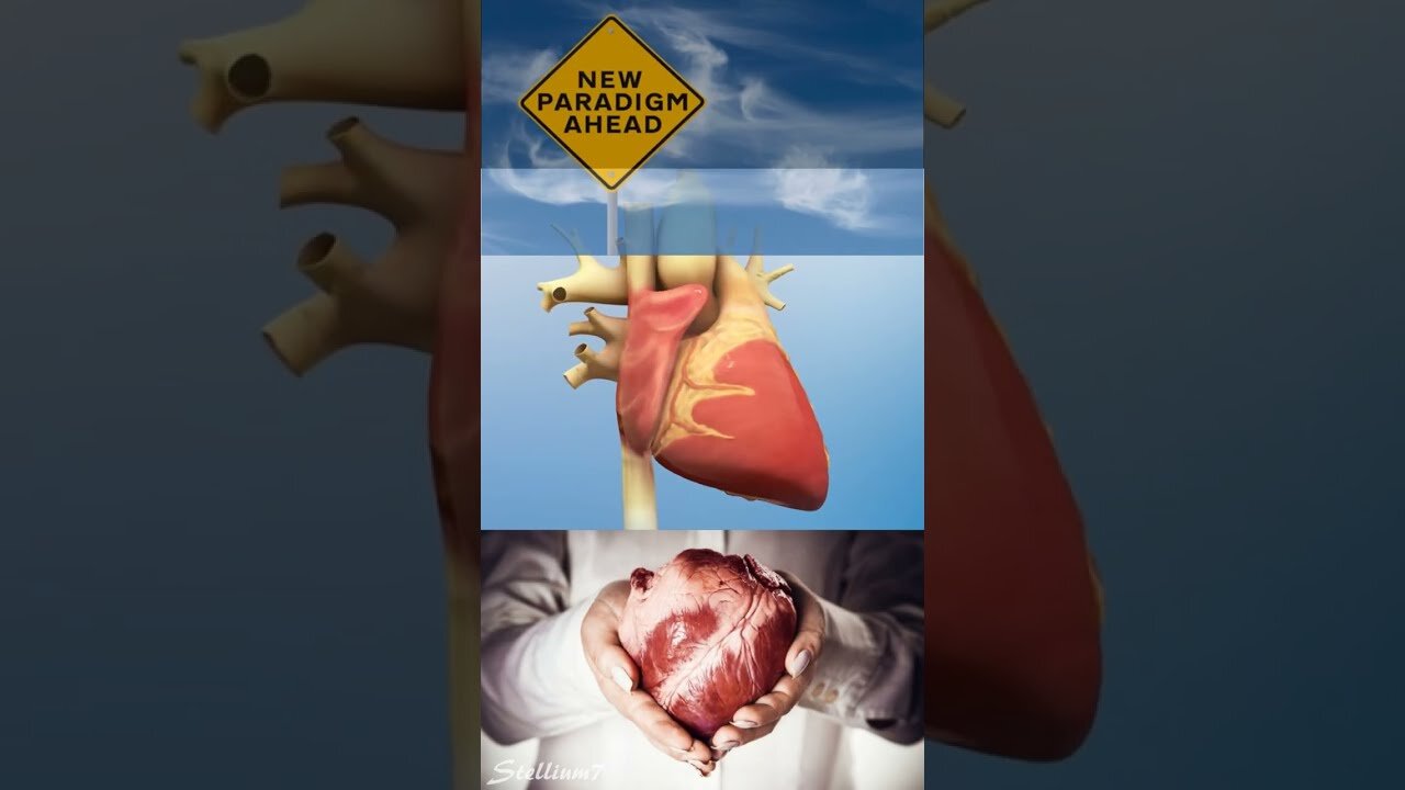 IL CUORE NON È QUELLO CHE PENSI!!
