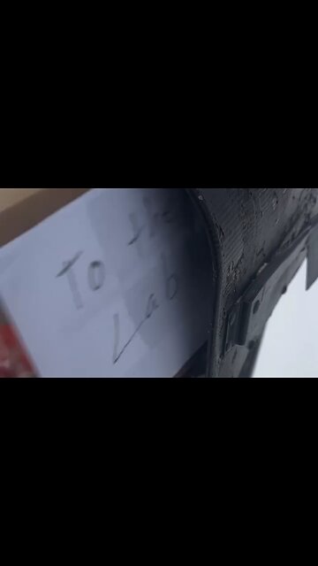 INteresting..Observations..Follow..Adam..for..Results