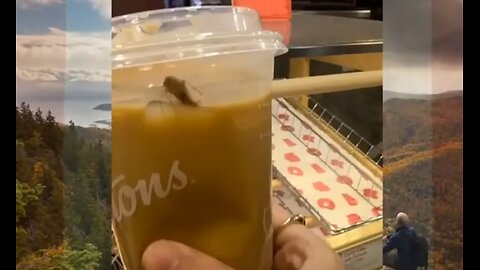 The Truth about Tim Hortons nobody wants to say out loud