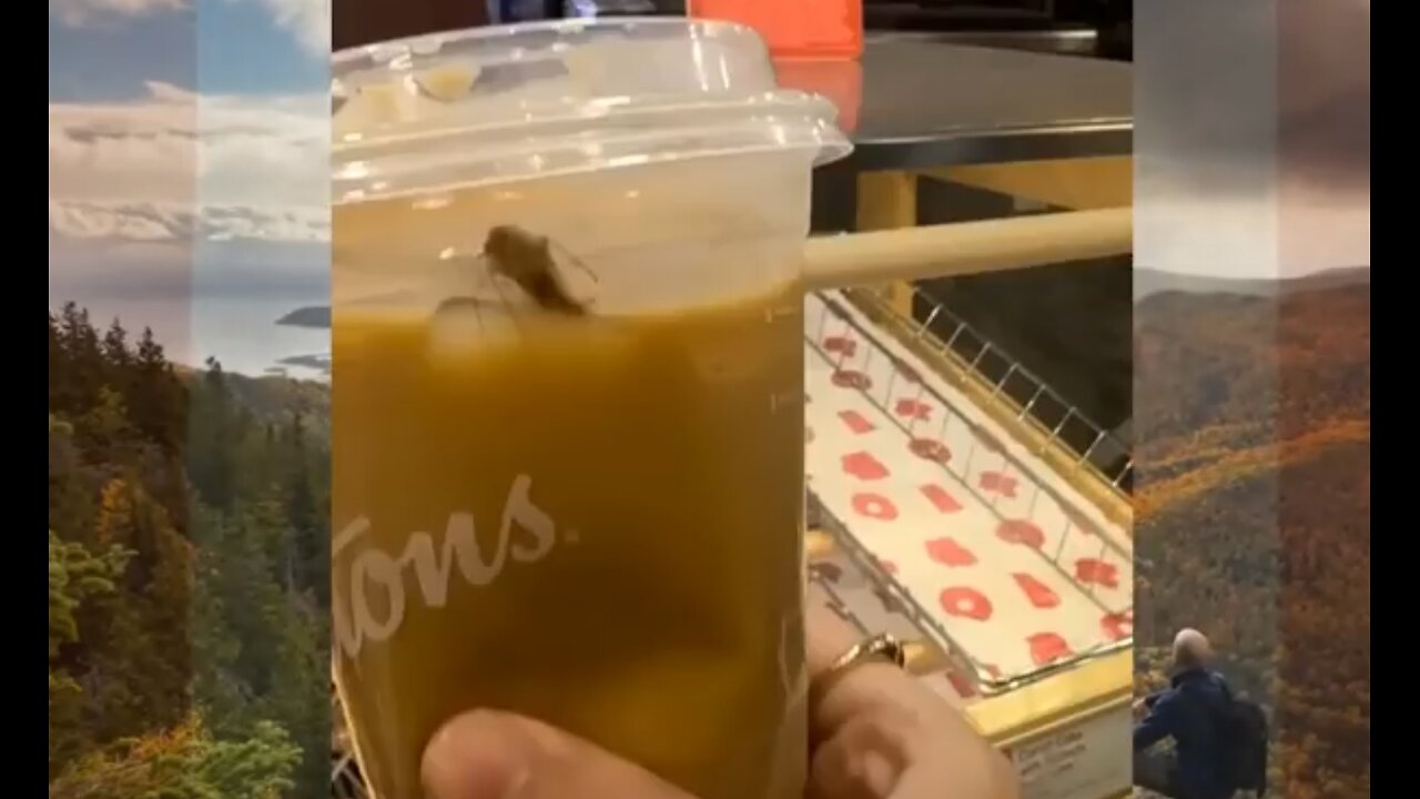 The Truth about Tim Hortons nobody wants to say out loud