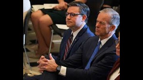 GOP Leaders Thune, Johnson Fire Back at Musk's Criticism