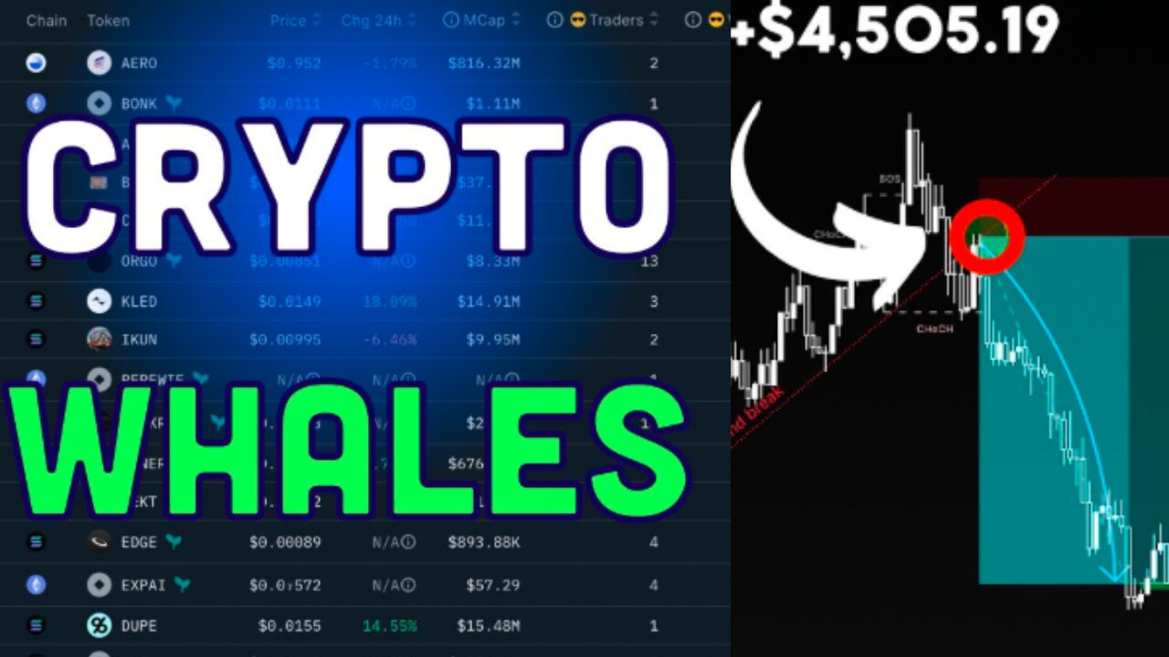 fast coin hunting scalping and you make money