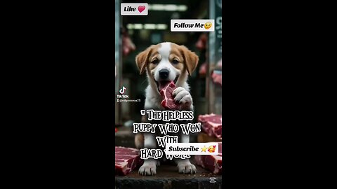 " The Helpless Puppy Who Won With Hard Work" 🐶🐶