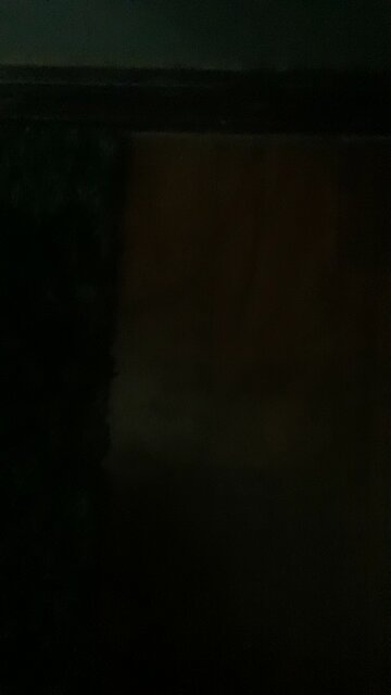 Homestar Runner joke