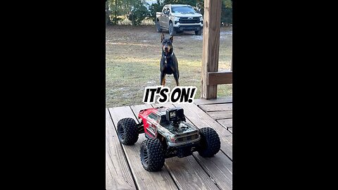 Doberman Chase Did NOT Go as Planned | RC Car GoPro FAIL