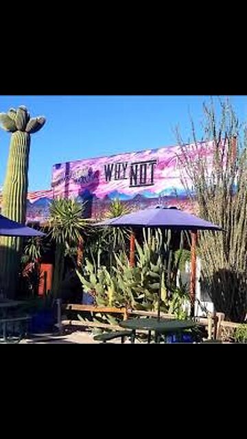 WHY Arizona - On our way to Mexico 🌴🌊🦈