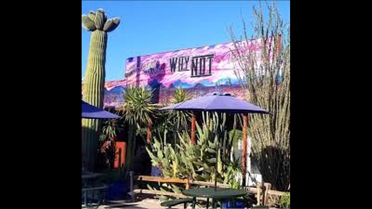 WHY Arizona - On our way to Mexico 🌴🌊🦈