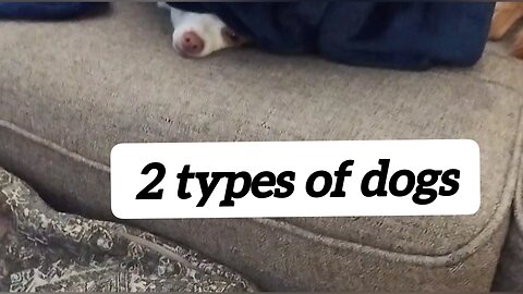 It Takes Both Kinds