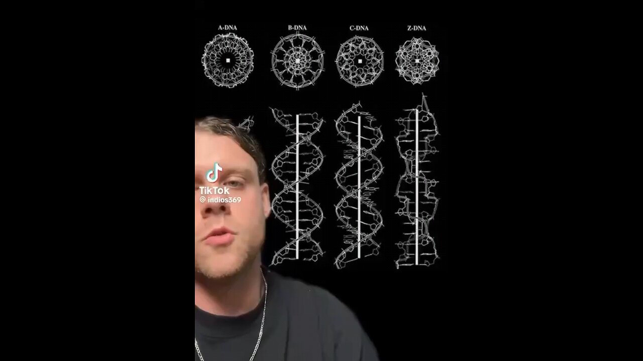 DNA An Electromagnetic Fractal