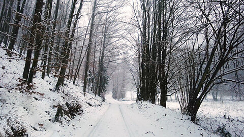 What Past To Hold On To - Walking In Crunchy Snow In Fog ASMR