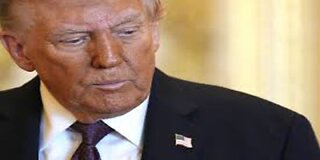 Trump Designates Antifa Movement as Terrorist Org