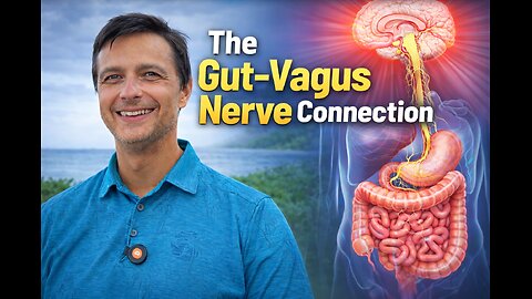 The Gut–Vagus Nerve Connection: Why Nervous System Resets Can Reduce Chronic Inflammation