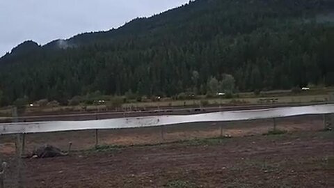 Here..THEY...Come!!!