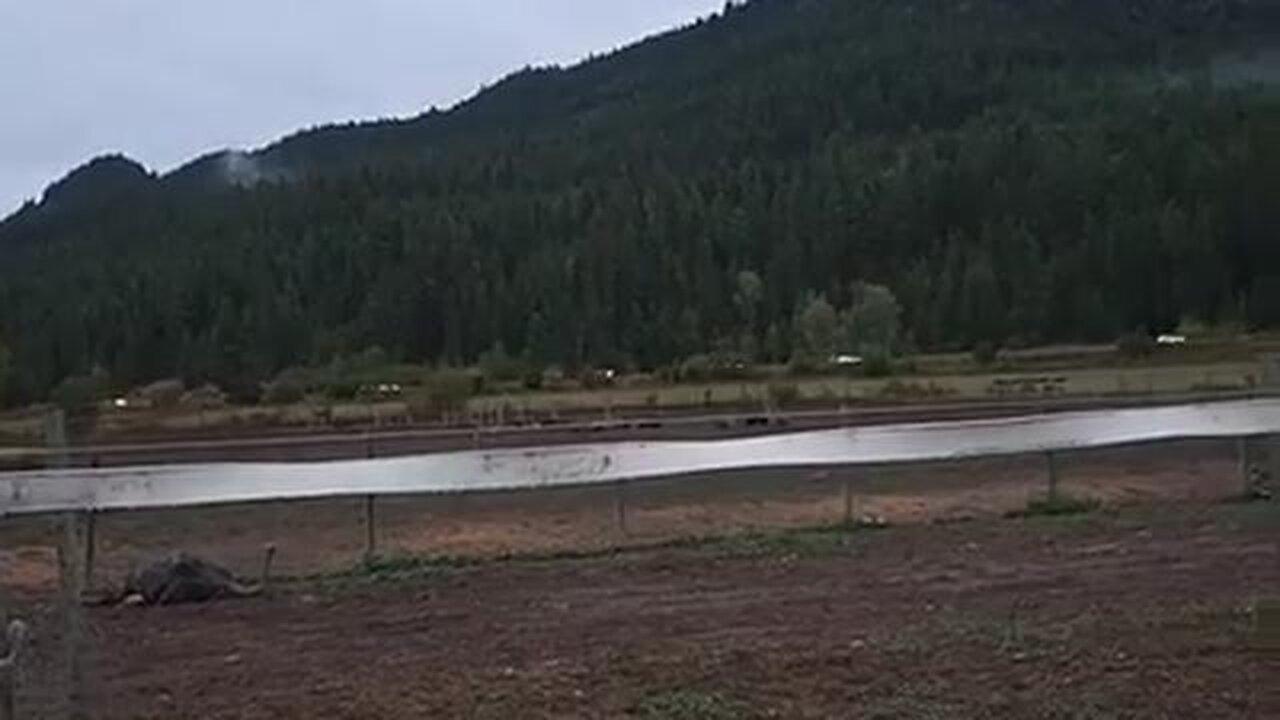 Here..THEY...Come!!!